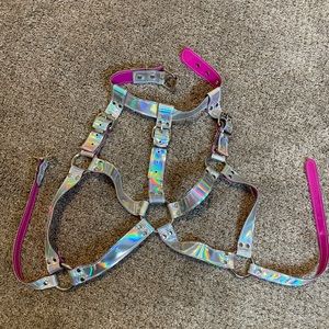 Holographic Harness